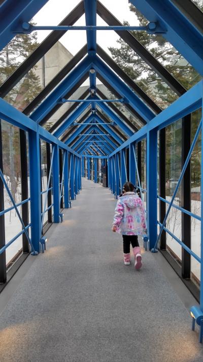2022年3月 星野リゾート トマム 一泊二日/一日目④ プール