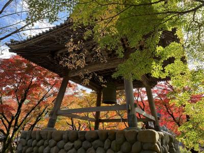 真っ赤に染まった紅葉を見に修善寺温泉へ♪♪