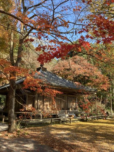 2022年初冬　石仏と温泉と太古への想いの大分旅ー１