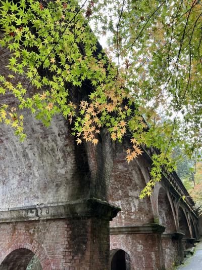 紅葉の京都　2日目