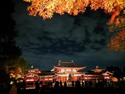 2022年晩秋の京都　その１～石清水八幡から宇治平等院のライトアップへ