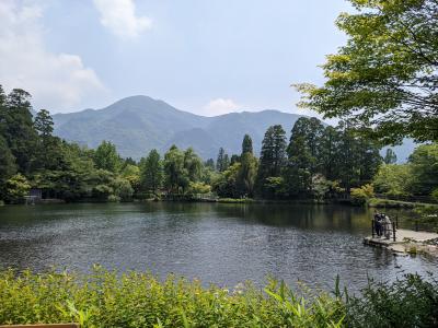 草庵秋桜に泊まって由布院のんびり観光 2022