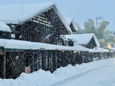 津軽百年食堂を巡る旅　‘22冬　青春18きっぷで行く 新潟＋東北6県 塗りつぶしの旅⑧