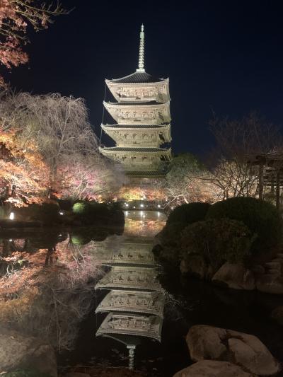 美しい東寺のライトアップと紅葉2022晩秋