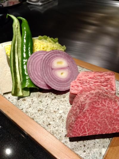 小涌谷のゴージャスな鉄板焼きの宿と小田原駅