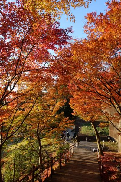 金沢　一泊二日　おっさん三人旅