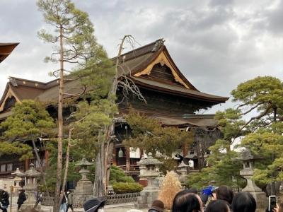 一日で小布施、岩松院、善光寺めぐりのかけあしツアー