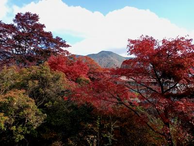 箱根２０２２紅葉　【１】強羅公園