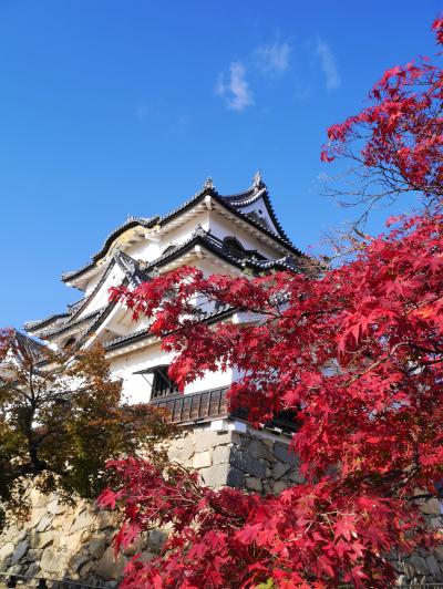 終わる秋を追いかけて・・紅燃ゆる古都へ＊～近江路～＊