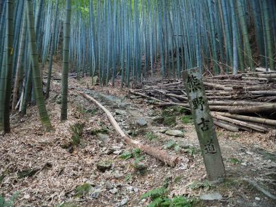 熊野古道初心者コースと紀伊風土記の丘　一泊二日の一人旅