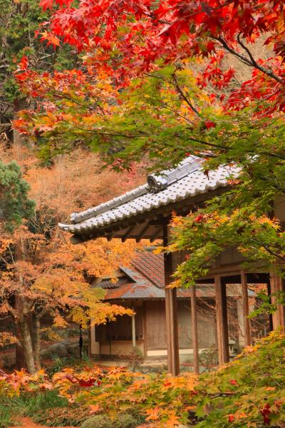 全国旅割を使って九州紅葉の旅♪　福岡、佐賀、長崎の旅♪