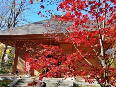 ’２２　東京さんぽ　自由が丘（九品仏浄真寺の紅葉～熊野神社～仁松庵のランチ）