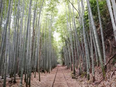 たまにはベタな廃線跡めぐり2210　「三朝温泉に泊まってかにめしを食べて、国鉄倉吉線の廃線跡を歩きました。」　　　～倉吉・鳥取～　