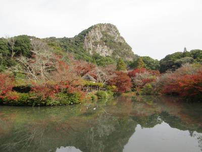 佐賀県１泊２日旅行♪（2022年11月・ホテル光陽閣）