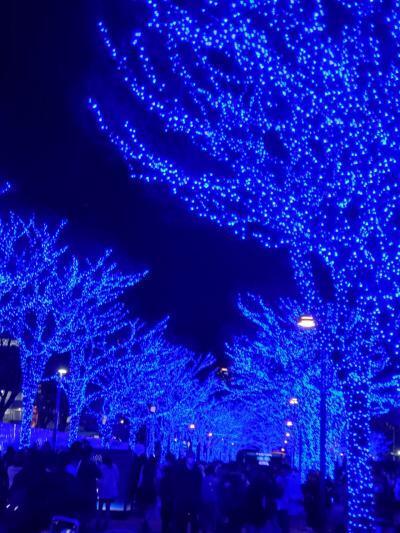 東京散歩(クリスマスイルミネーション& Chiristmas Antique Fairなど)