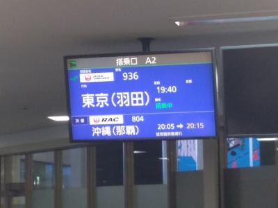 連れと何年か振りに行く阿嘉島、そして宮古島へご案内旅8日間～8日目　今年の沖縄旅の締めくくり