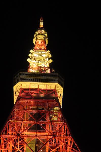 東京タワーから大井競馬場東京メガイルミ はとバスツアー