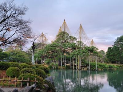 弾丸金沢。朝の兼六園だけ