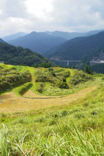 棚田に寄って湯村温泉へ