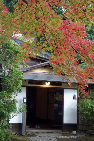 クラブツーリズム　偉人の邸宅×庭園めぐり 紅葉に色づく大磯から御殿場（2）小田原の鈴廣でランチをいただき、皆春荘と松永記念館を巡る。