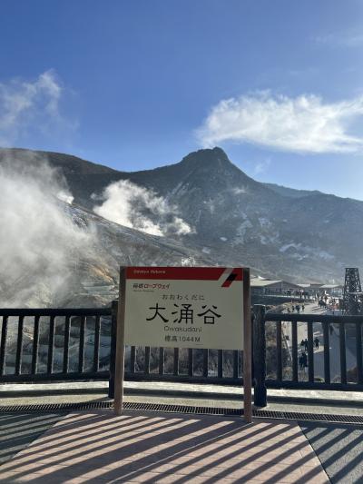 箱根　＊温泉と風景とアートな旅＊