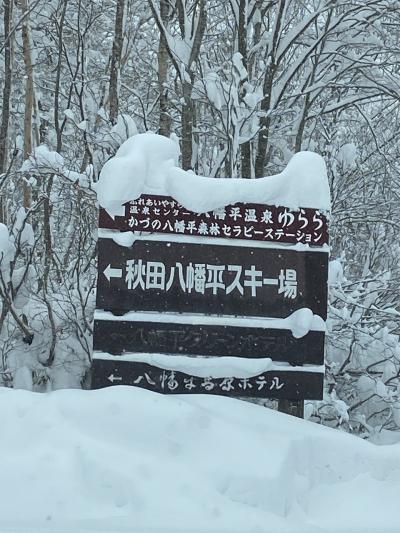秋田八幡平でスキー