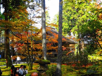 きょうと～　お～おはら　三千院　参道の上り坂に疲れた　シニアが二人