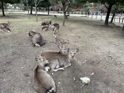 ①2泊３日奈良旅行　奈良アジールアネックスと洞川温泉