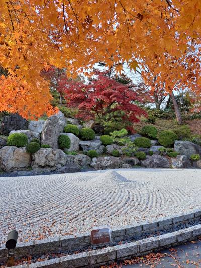 紅葉見に行こう～徳明園