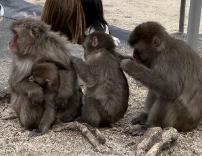 5歳子連れ　友人に会いに大分へ　2023 福岡＆大分 後編