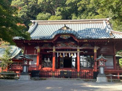 2022.11　熱海・熱川温泉の旅②～来宮神社・伊豆山神社