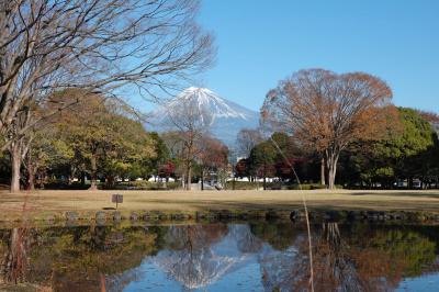 散歩  富士山を見ながら市内をウロウロ… 2022.12.16