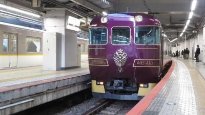 奈良、京都、大阪を巡る近鉄特急乗り比べの日帰り旅②ビスタカー、あをによし、ひのとり