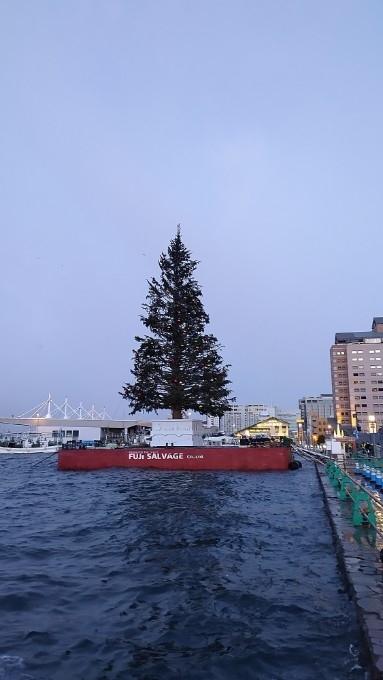 札幌～函館　北のクリスマス