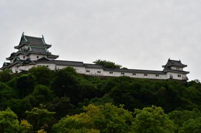 和歌山県：和歌山城、岡山城、太田城、秋月城（その2）