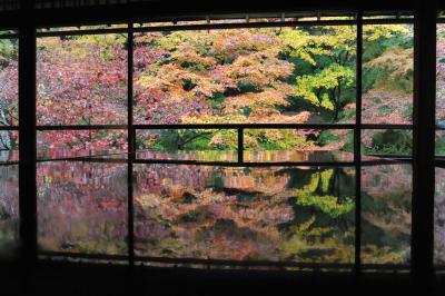 京都の紅葉を満喫してきました