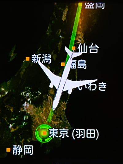 JAL522（56K）新千歳空港18:00　⇒19:40羽田空港 　☆東京湾！夜景きらめき