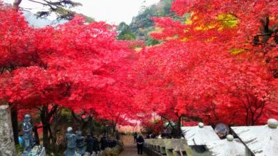 大山登山☆★阿夫利神社と大山寺の紅葉♪