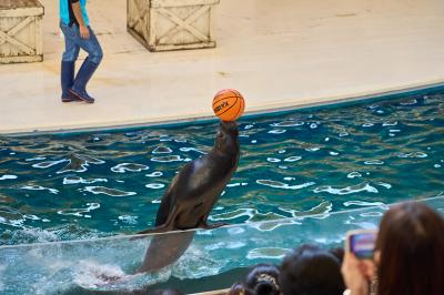 伊勢海老最盛期の伊勢志摩でグルメ旅