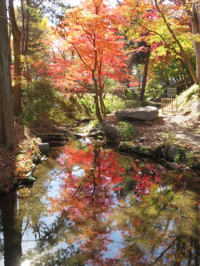 盛岡満喫の旅～錦秋の盛岡へ③～