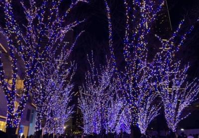 クリスマスは横浜へ