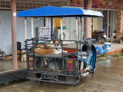 2022年10月　タイ旅行⑤　雨期のランタ島でのホテルステイ　その４　近くの村サラダンとクロン・ダオ・ビーチを歩いてみる　Ko Lanta