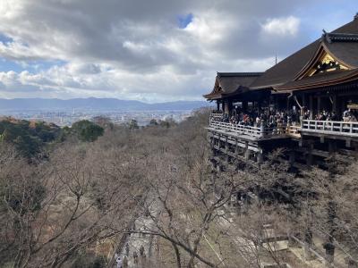 気の向くままに、京都を歩く！