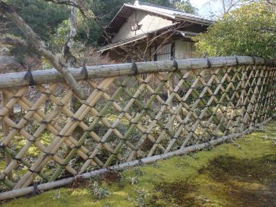 久しぶりの光悦寺。光悦垣に季節はないようです。