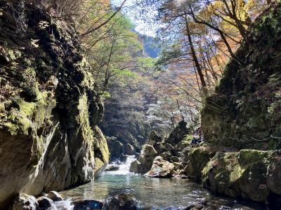 【2022年山梨】紅葉＆温泉　西沢渓谷＆ほったらかし温泉に行ってきた