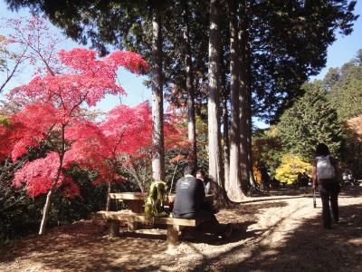 紅葉の御岳山ハイキング