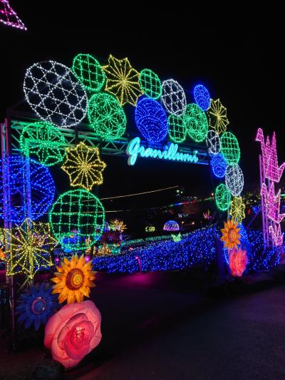 忘年旅行2022 ~イルミとリフトとカエル~