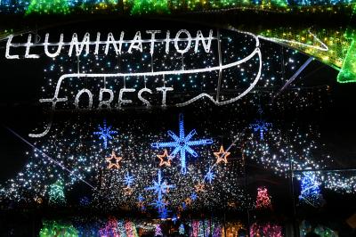 おばちゃま大好きバスツアー うなぎにショッピングにイルミネーションと盛りだくさん 後半