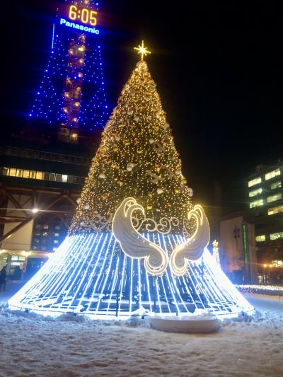 札幌　ホワイトイルミとミュンヘンクリスマス市
