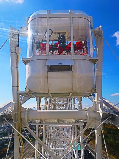 大阪-2　OSAKA WHEEL　観覧車（123m高）ゴンドラ独占　☆万博記念公園‐一望